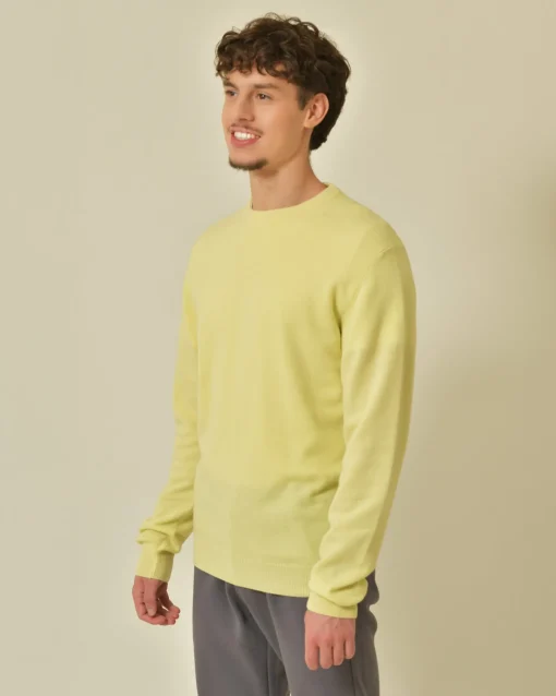 La Piscine Paris Pull en laine mérinos Wool & Co*Homme Pulls & Gilets