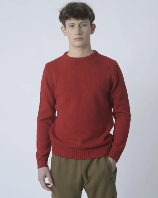 La Piscine Paris Pull en laine pure Casheart*Homme Pulls & Gilets