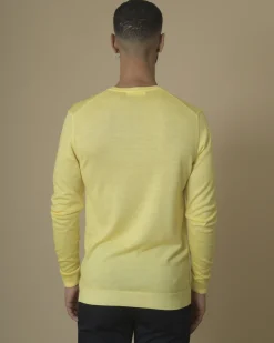 La Piscine Paris Pull en maille col v Daniele Fiesoli*Homme Pulls & Gilets