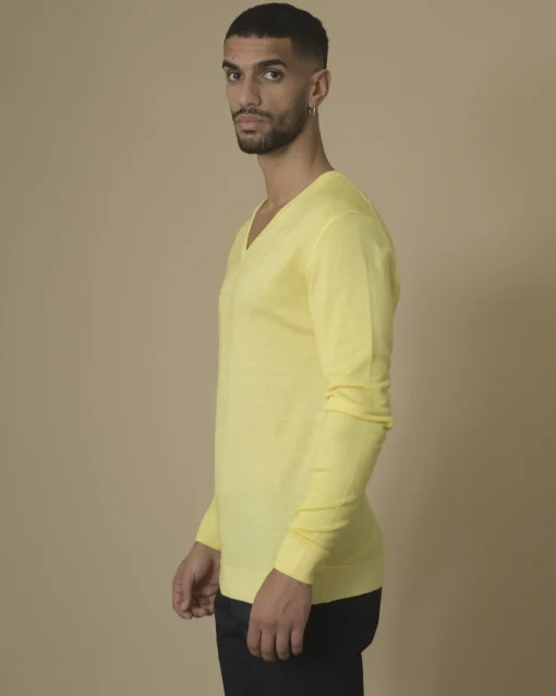 La Piscine Paris Pull en maille col v Daniele Fiesoli*Homme Pulls & Gilets