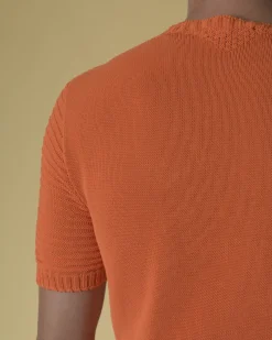 La Piscine Paris Pull manches courtes en coton mélangé Daniele Fiesoli*Homme Pulls & Gilets