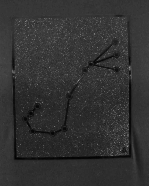 La Piscine Paris T-Shirt à patch constellation "Scorpion" Limitato*Homme T-Shirts