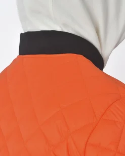 La Piscine Paris Veste matelassée Moose Knuckles*Homme Blousons & Vestes